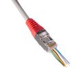 Modularer Steckverbinder, Stecker, RJ45, CAT5e, Gerade, Positionen - 8, Anzahl Kontakte - 8, Abgeschirmt, Packung à 10 Stück